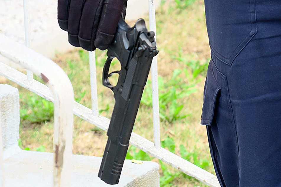 Diese Pistole sorgte auf dem Sonnenberg für große Aufregung.