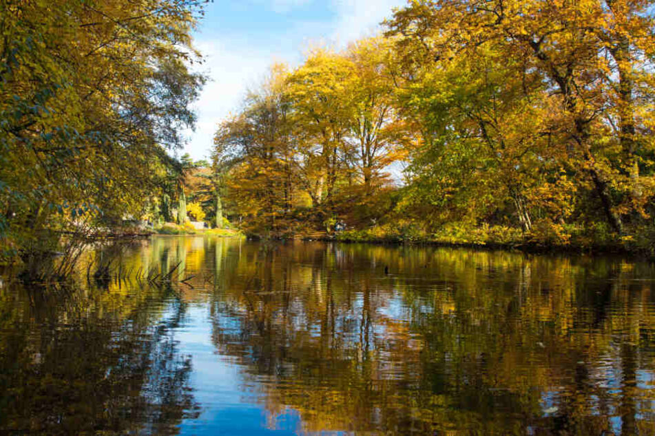 Der Park "Planten un Blomen" ist herbstlich gefärbt. (Archivbild)