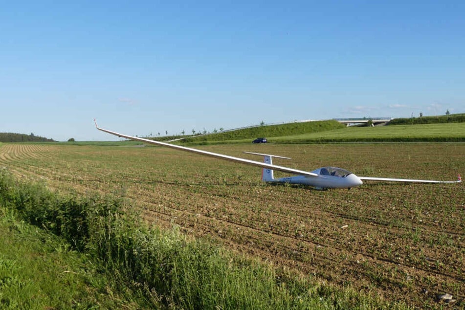 Der Pilot des Segelfliegers musste wegen fehlender Thermik auf dem Maisfeld notlanden.