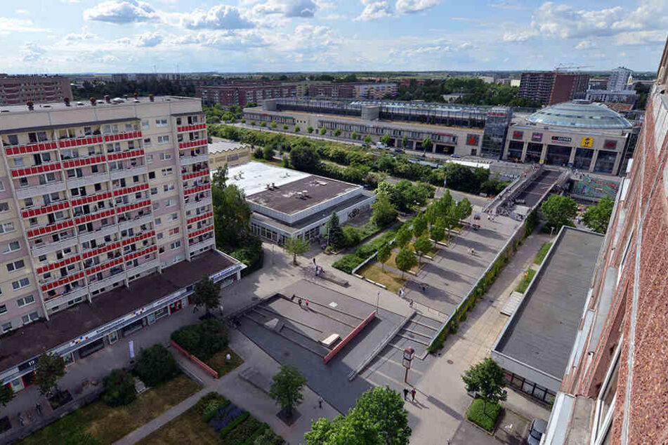 Besonders aktiv sind die Inspektoren der Stadt im direkten Umfeld des Allee-Centers. (Archivbild)