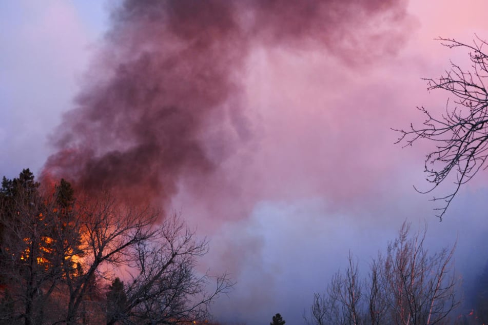 In Colorado lodert ein heftiger Waldbrand.
