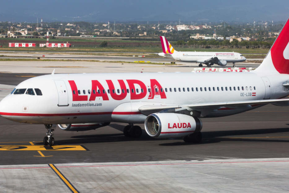 Airlines wie die österreichische Laudamotion bieten teilweise Flüge für unter 30 Euro an.