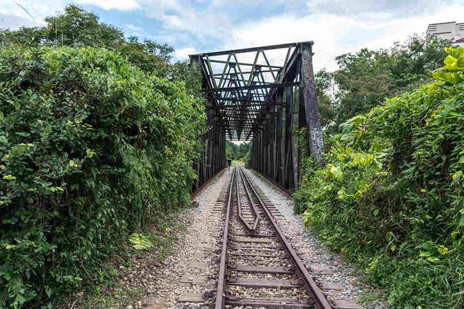 Ungepflegter Bewuchs entlang der Bahngleise wurde Roper möglicherweise zum Verhängnis. (Symbolbild)
