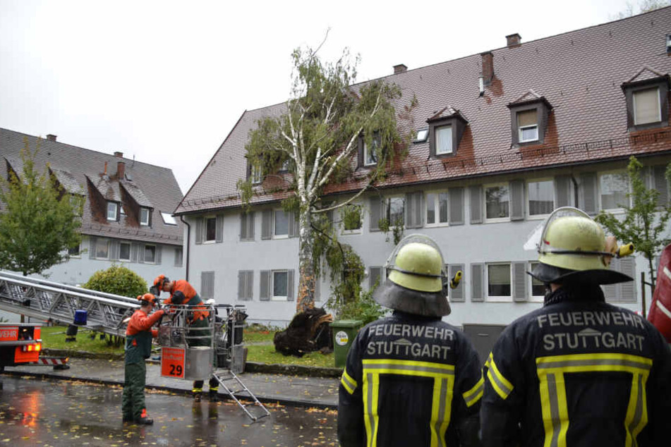 In Untertürkheim ist durch die starken Regenfälle ein Baum auf ein Hausdach gestürzt.