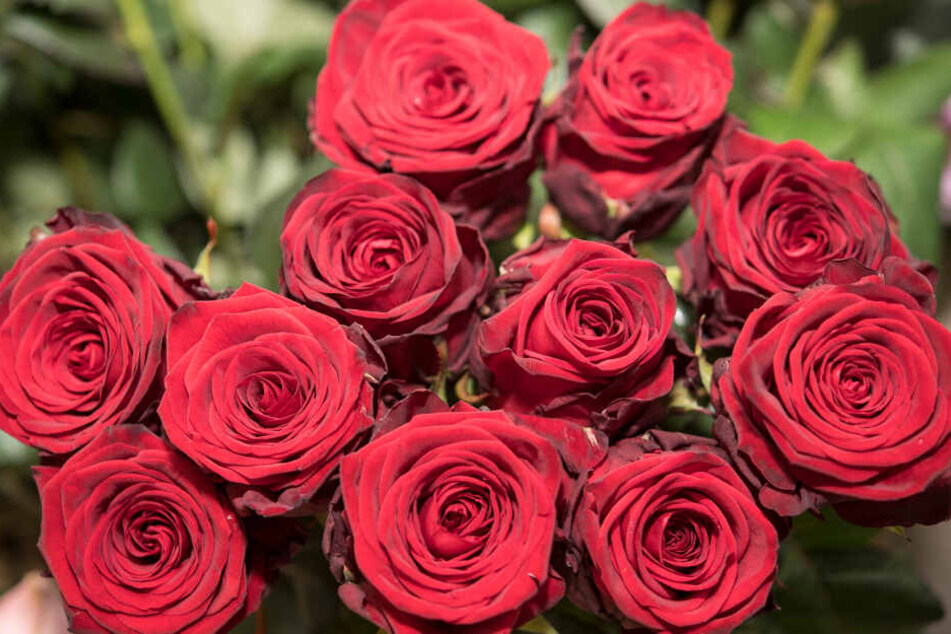 Der Mann klaute unter anderem Blumen. (Symbolbild)