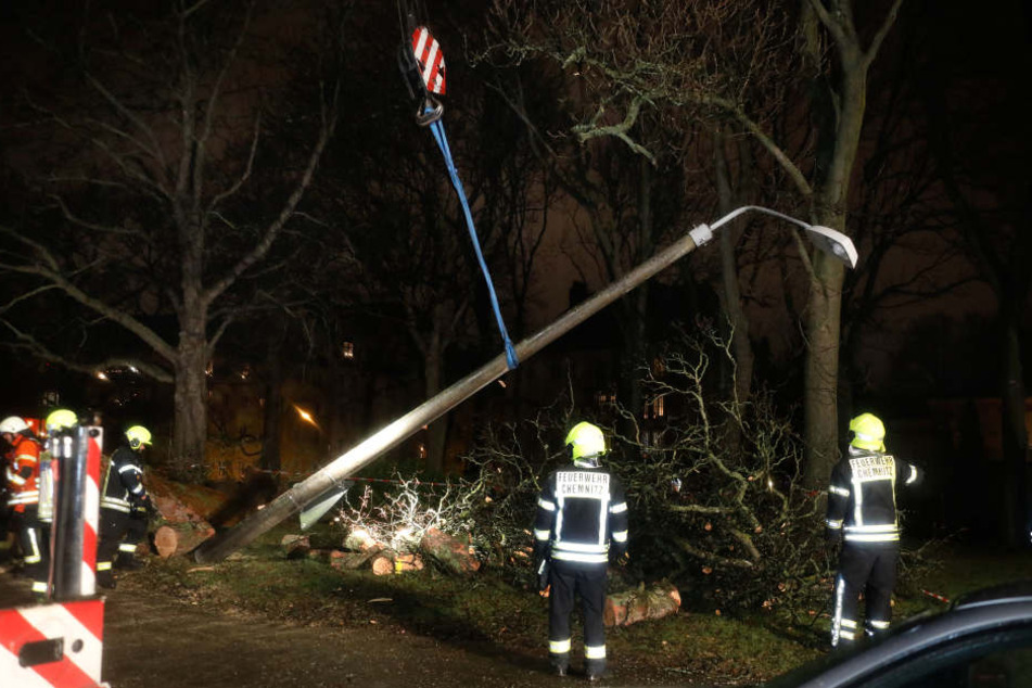 Der Baum war beim Umstürzen an einer Straßenlaterne hängen geblieben.