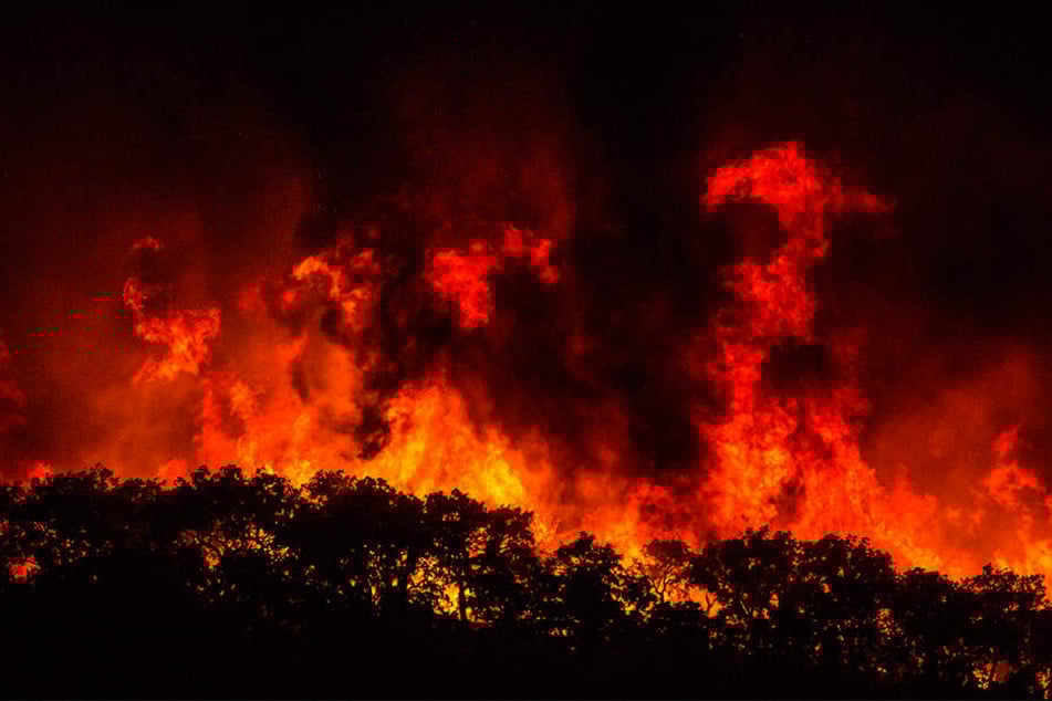 Nahe der Kleinstadt Monchique geriet ein Waldbrand außer Kontrolle.