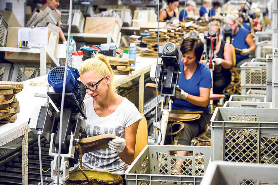 Schon mehr als 1000 Beschäftigte arbeiten bei Birkenstock in Görlitz. Auch aktuell gibt
es offene Stellen.