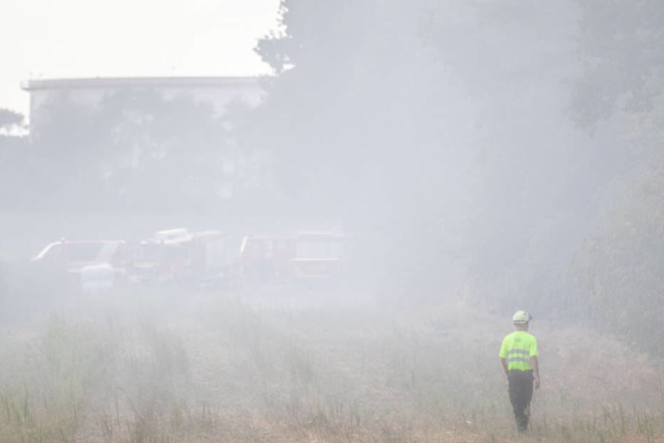 Rund 120 Einsatzkräfte der Feuerwehr bekämpften am vergangenen Wochenende den Waldbrand in Straelen.