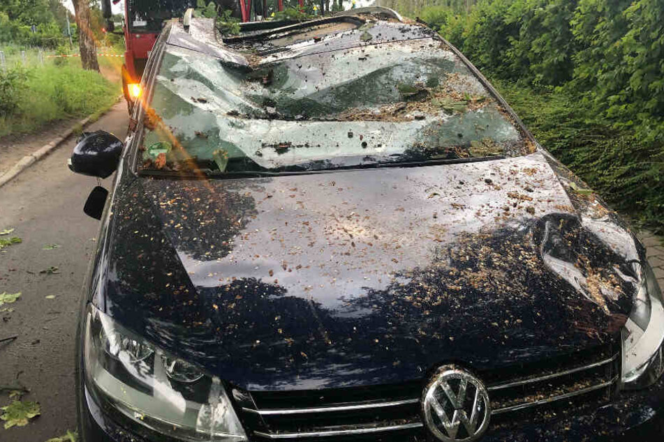 Ein Autofahrer wurde von einem Baum getroffen. Der Fahrer blieb zum Glück unverletzt.