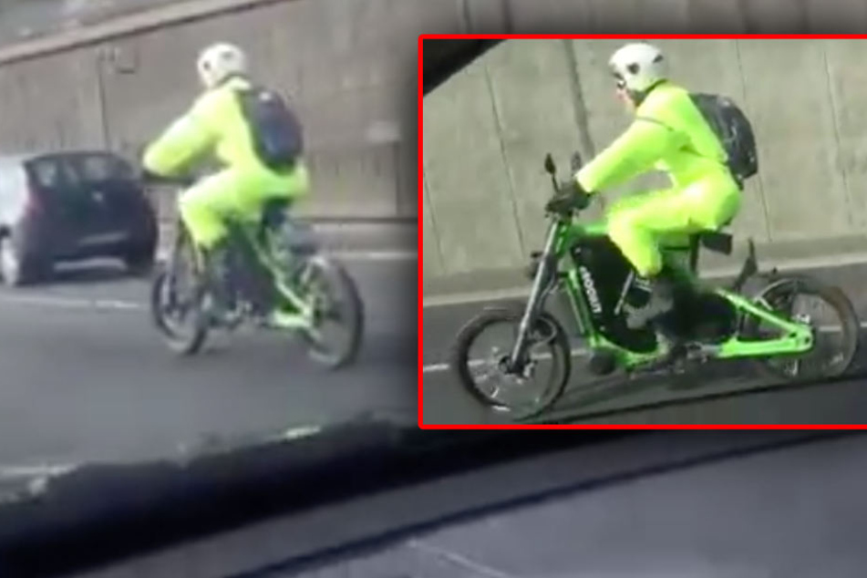 Ein Autofahrer machte die kuriose Sichtung und hielt das Handy drauf. (Bildmontage)
