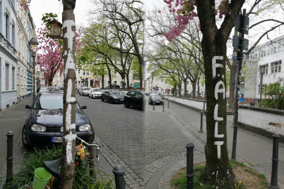 Dating wieder nach 50