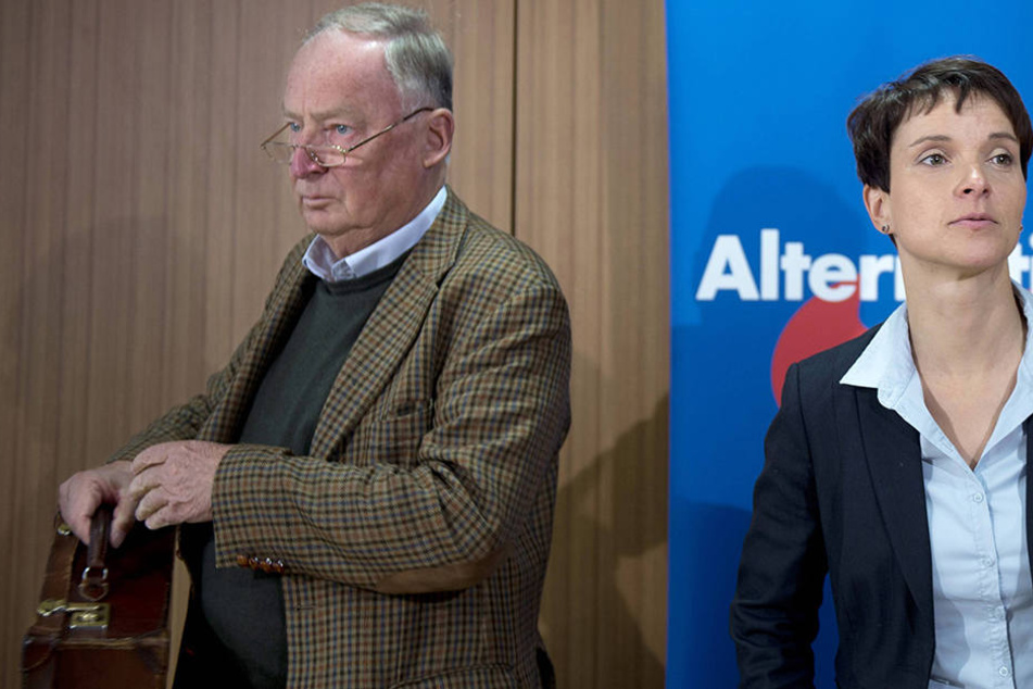 Die Fronten zwischen Alexander Gauland (76) und Frauke Petry (41) scheinen verhärtet.