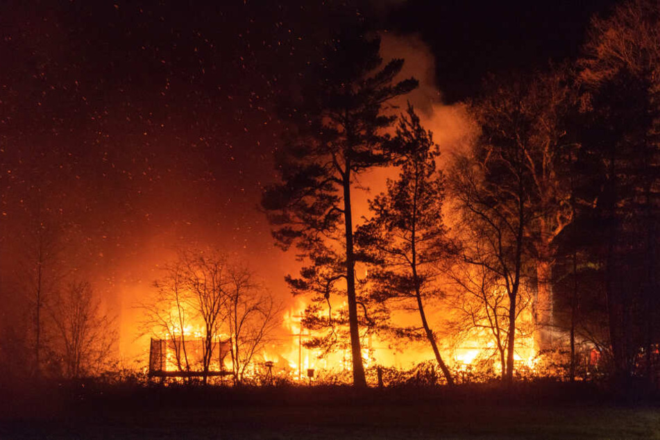 Bis in die Nacht kämpften die Feuerwehrleute gegen die meterhohen Flammen.