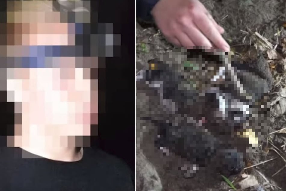 Teenager (15) quält kleine Hunde und lacht, als er sie brutal tötet