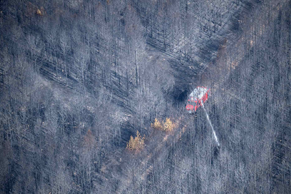 Die Feuerwehr suchte noch Tage später nach Glutnestern.