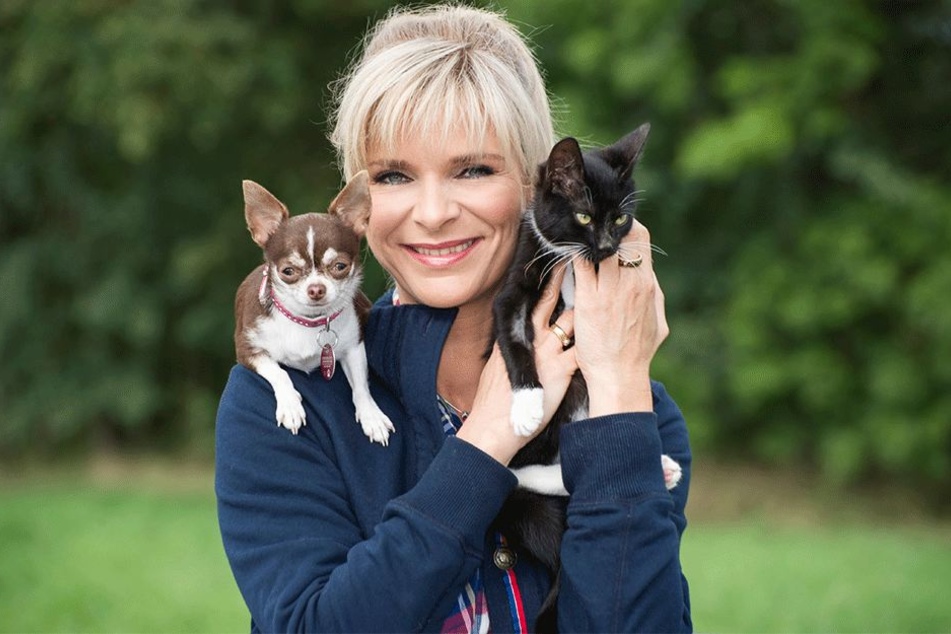 Ob Hund oder Katz: Moderatorin Uta Bresan (52) vermittelt seit 1994 Heimtieren ein neues Zuhause.