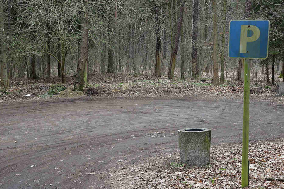 Auf diesem Parkplatz entdeckte eine Autofahrerin den Hund.