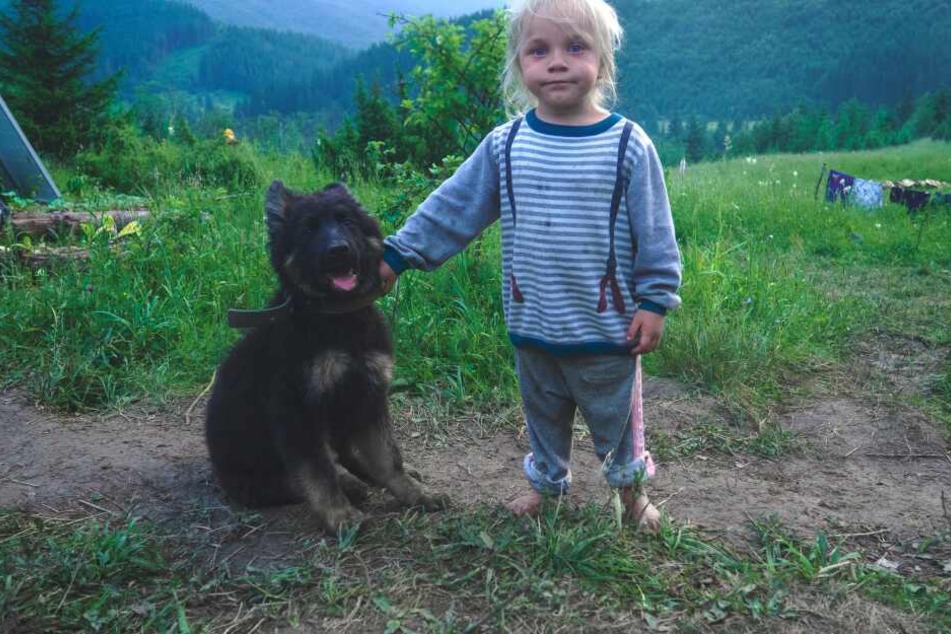 Hunde müssen an den Umgang mit Kindern gewöhnt werden.