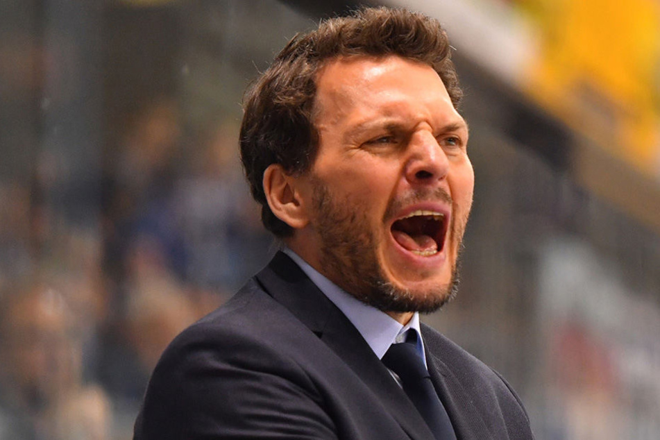 Jochen Molling (45) ist nicht länger Coach der Dresdner Eislöwen.