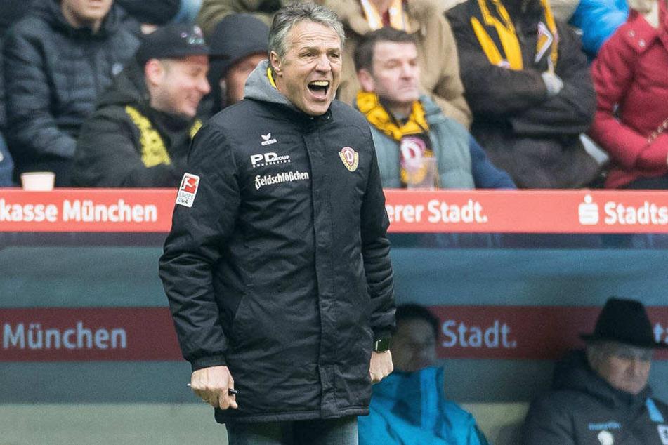 Dynamo-Trainer Uwe Neuhaus verstand am Ende die Welt nicht mehr.