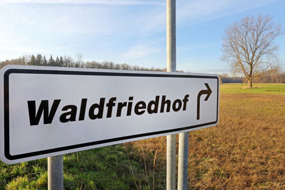 In der Nähe des Waldfriedhofes in Birkenwerder sprach ein 48-jähriger Berliner Kinder an und wollte sie mit nach Hause nehmen.