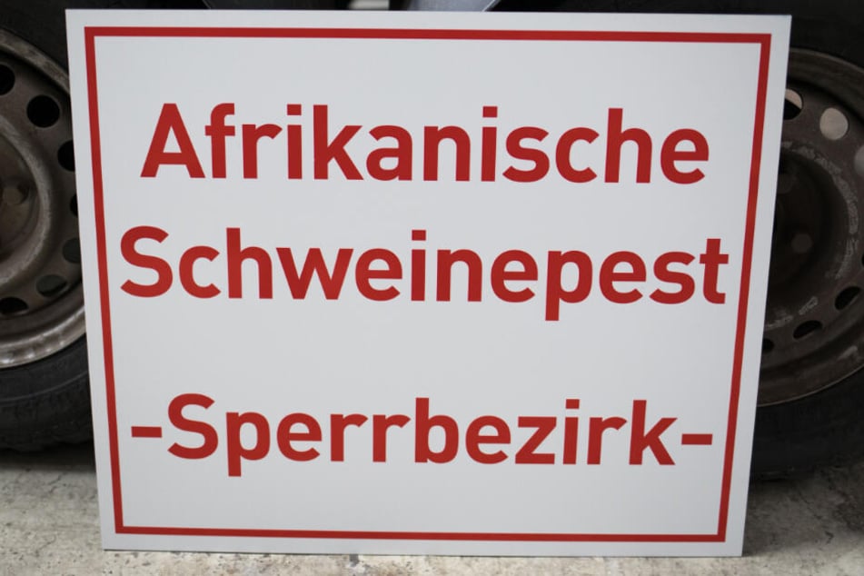 Ein Schild mit der Aufschrift "Afrikanische Schweinepest -Sperrbezirk-" lehnt im hessischen Zentrallager für Tierseuchenbekämpfungsmaterial an einem Anhänger.