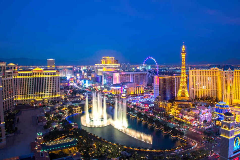 Elly hatte ihren Traumjob auf den Bühnen und Showflächen von Las Vegas gefunden.