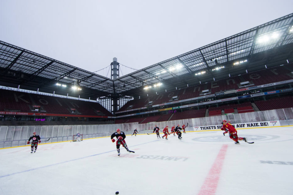 Eishockey: Köln richtet Wintergame 2021 gegen Adler Mannheim aus!
