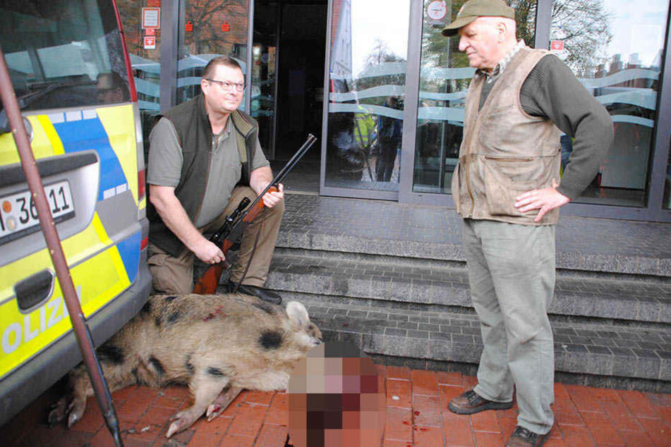 Jäger Uwe Ingwersen (li) kniet neben dem von ihm erlegten Wildschwein. Rechts im Bild der Stadtjäger Horst Allwardt.