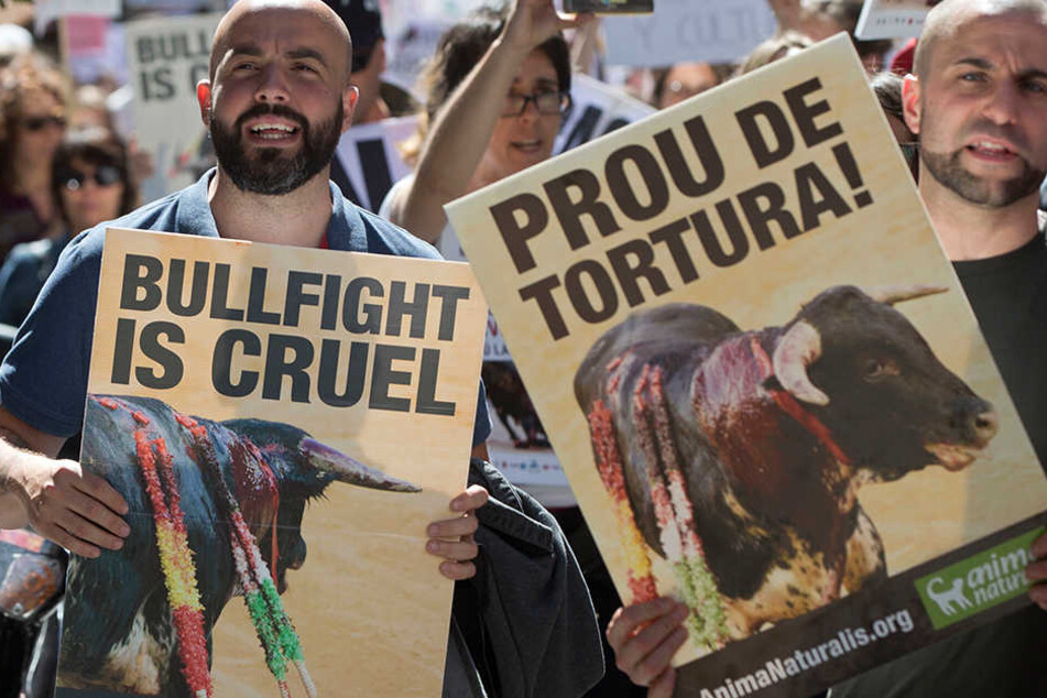 Der traditionsreiche Stierkampf wurden in Spanien 2013 zum "nationalen Kulturerbe" erklärt.