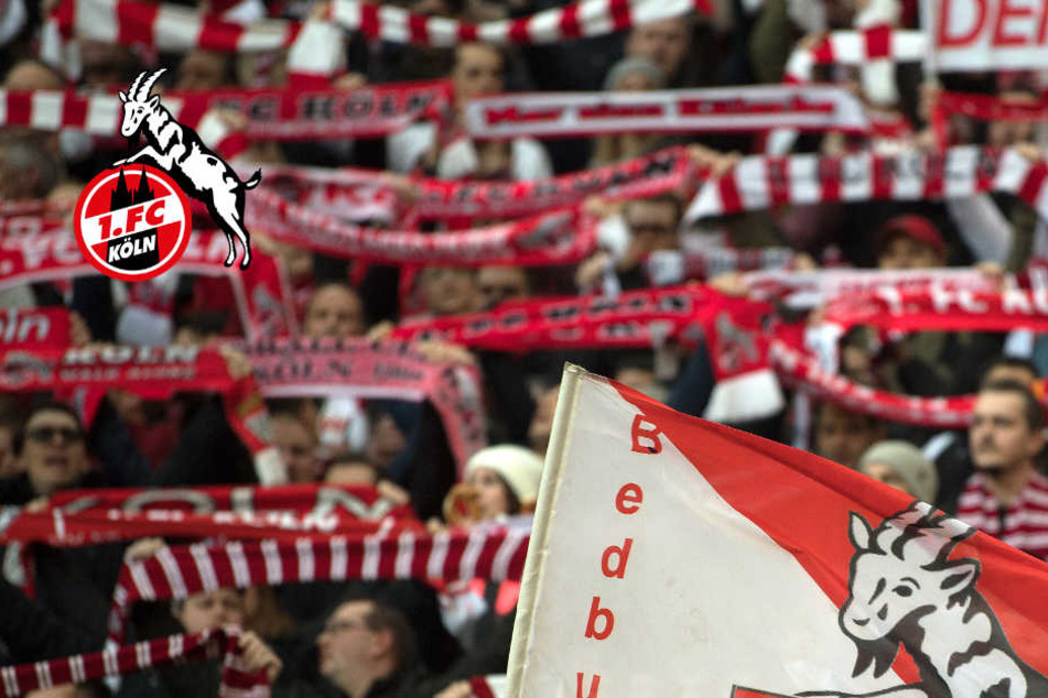 Fans beim 1. FC Köln. (Archiv)