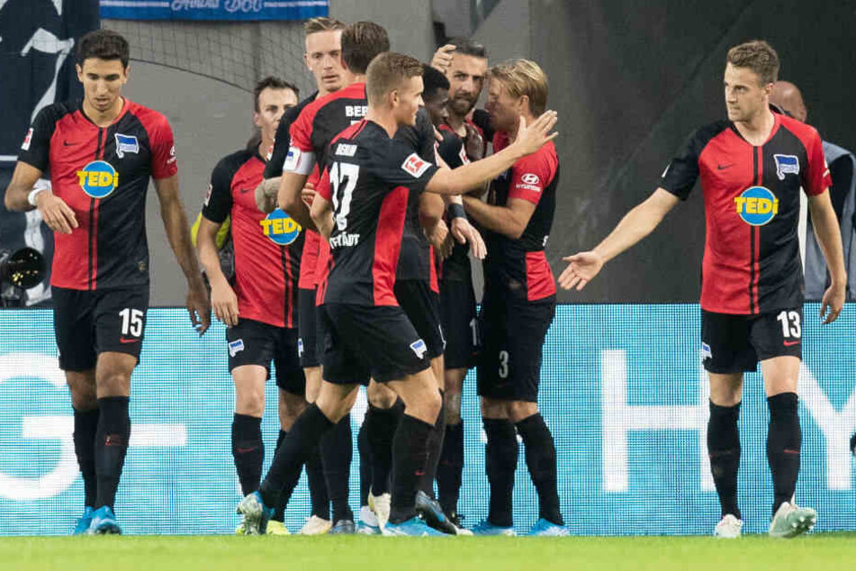 Die Mitspieler gratulieren Ibisevic zum zwischenzeitlichen 2:0 in Köln.