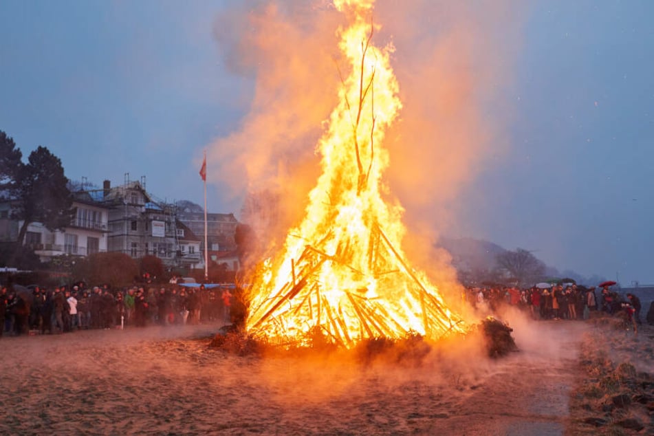 In aufgeschütteten Holzhaufen können sich Tiere verstecken. Sie verbrennen beim Osterfeuer.