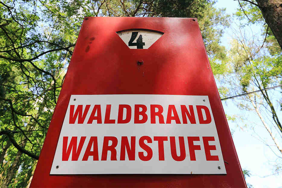 Am Dienstag wurde die höchste Waldbrandwarnstufe ausgerufen.