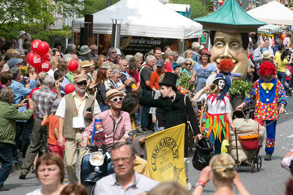 Tausende Zuschauer begleiten traditionell den Festumzug von Loschwitz nach Pillnitz.
