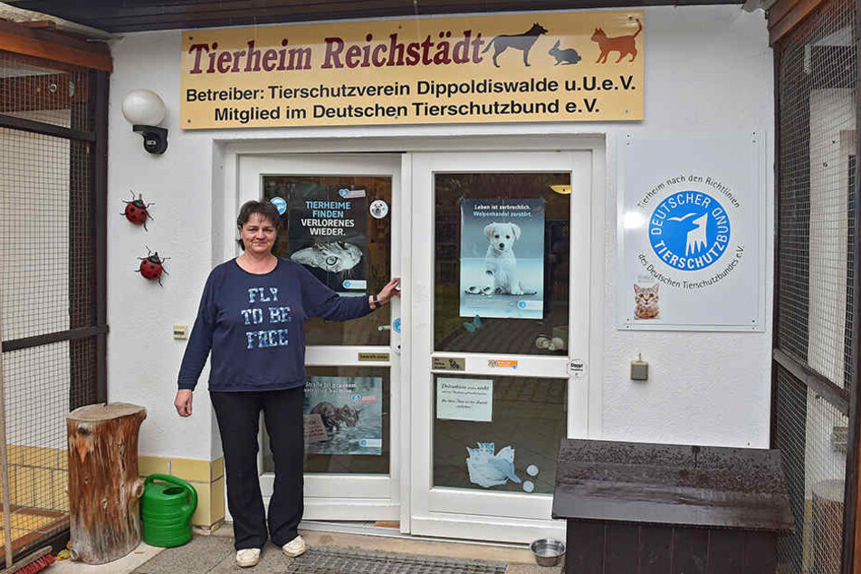 Katrin Thiele ist die Leiterin des Tierheims Dippoldiswalde in Reichstädt.