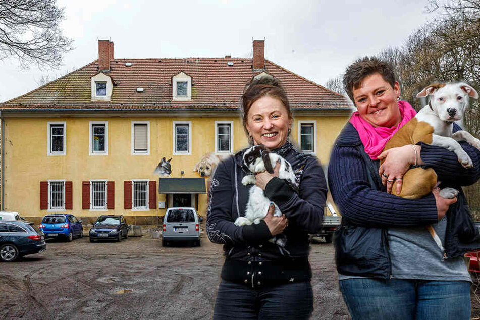 Das Tierheim in Freital. Chefin Anja
Witzmann (r., 34) hatte den Welpen Cooper
(3 Monate), der im Tierheim geboren
wurde, eigentlich schon vermittelt.
Jetzt ist er zurück.Das Tierheim in Freital.