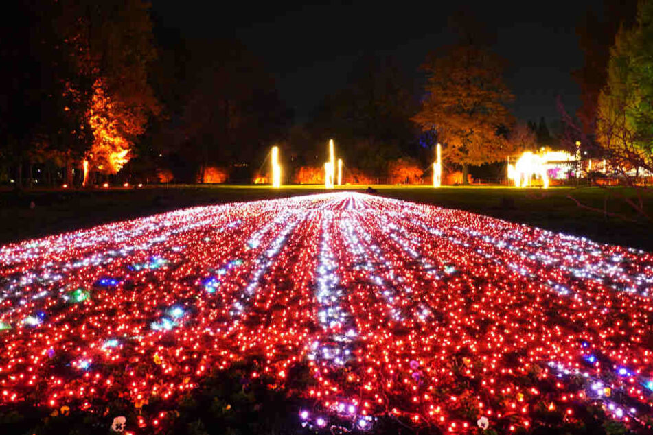 Über 1,5 Millionen Lichtpunkte erhellen die Wilhelma, den Zoo in Stuttgart.