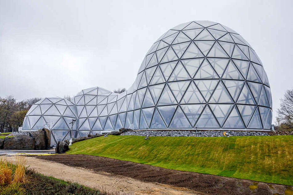 Durch dieses neue Eingangsportal - „Mitoseum“ genannt - betreten Besucher
künftig den Saurierpark Kleinwelka.