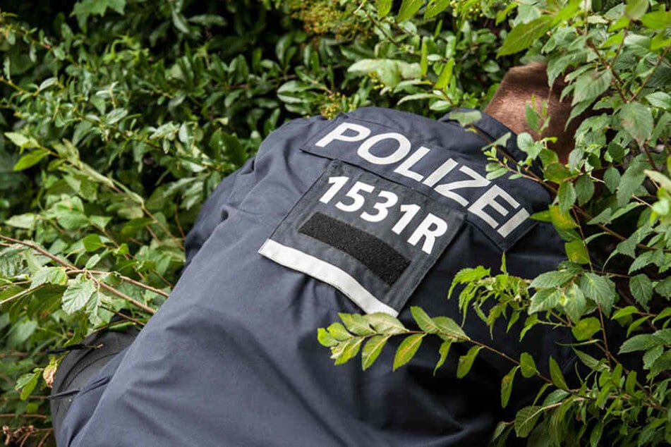 Beim Absuchen der Parkanlage fanden die Beamten die Frau schlafend im Gebüsch. (Symbolbild)