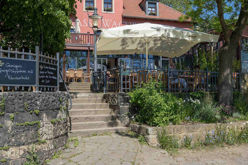Die "Elbterrasse Wachwitz".