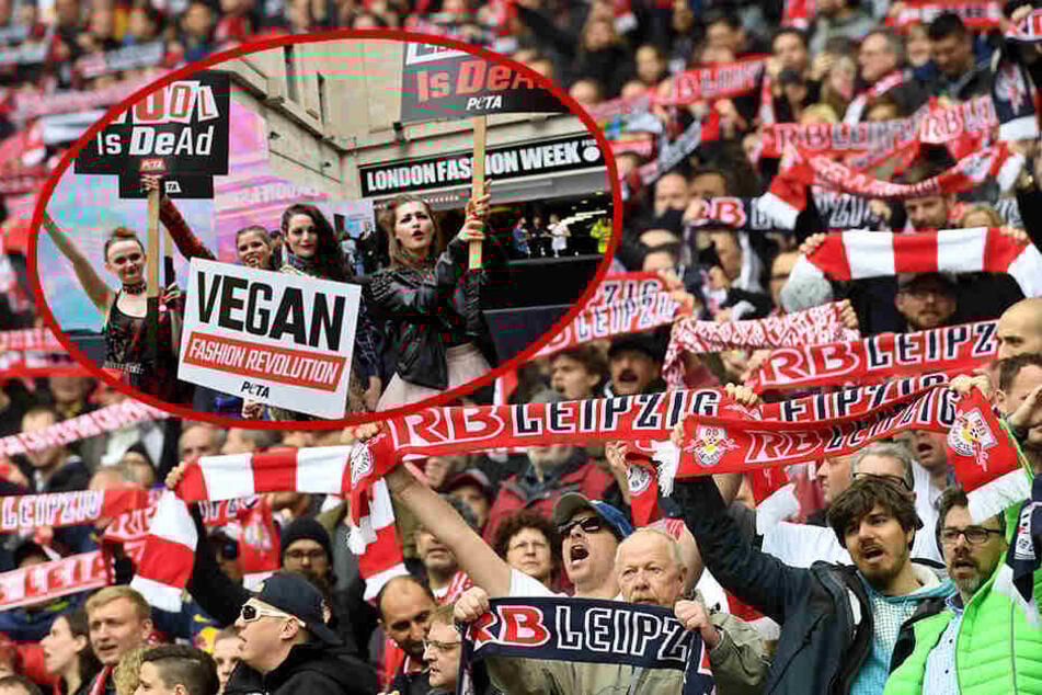 Die Red Bull Arena schnitt im Peta-Vergleich gut ab.