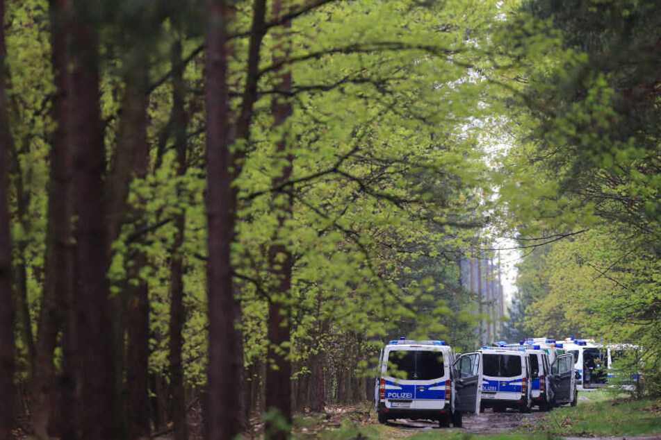 Einsatzkräfte der Polizei durchsuchten ein Waldgebiet bei Stendal (Sachsen-Anhalt) - erfolglos.
