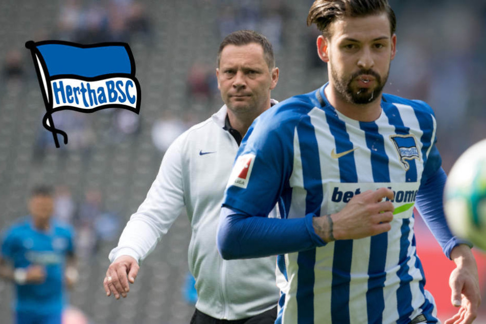 Will Trainer Dardai seinen Nationalspieler Marvin Plattenhardt wirklich einfach so ziehen lassen? (Bildmontage)