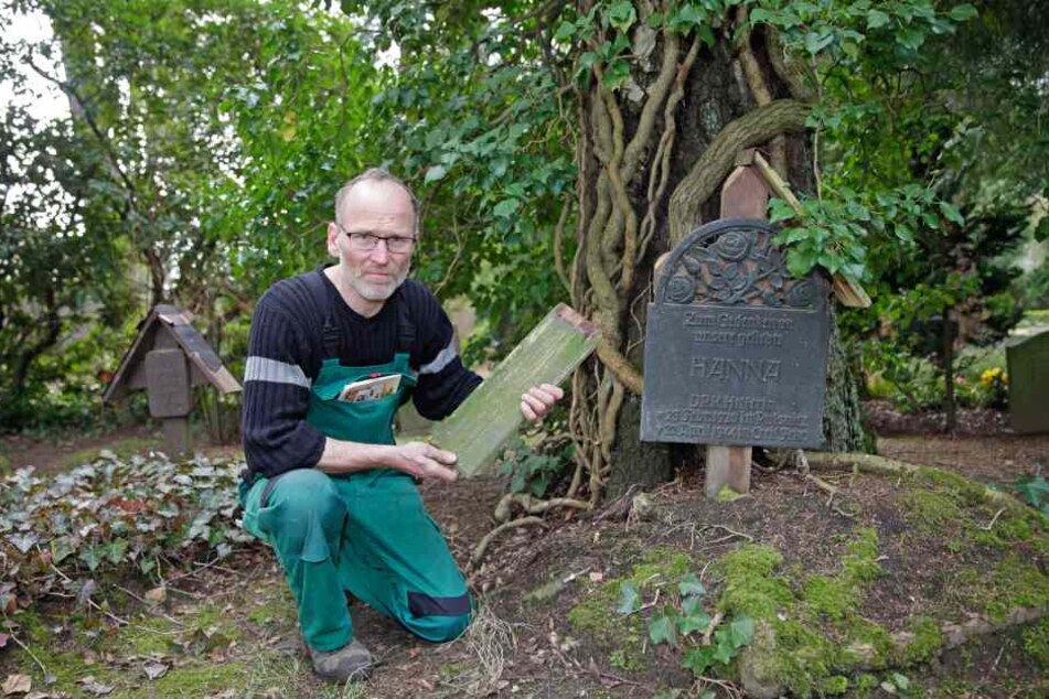 Friedhofsmeister Axel Böhme ist von der massenhaften Grabschändung entsetzt.