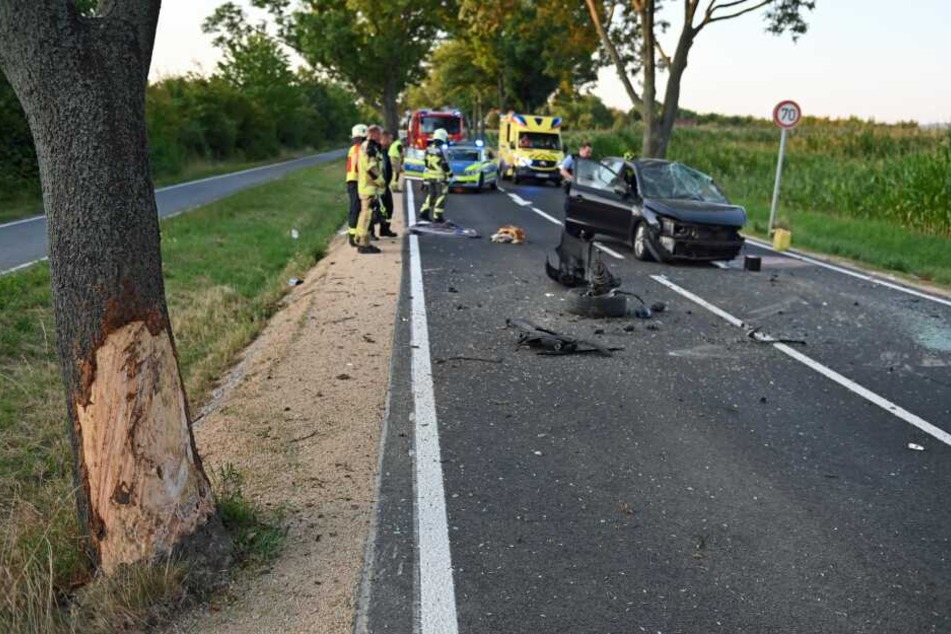 Der Hyundai war gegen einen Baum geprallt.