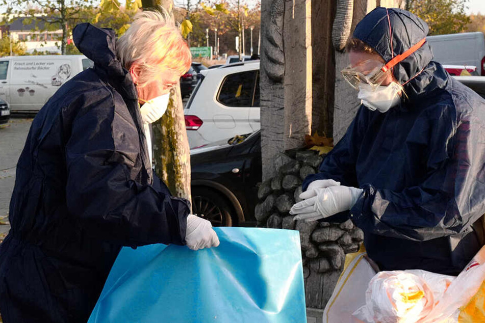 Mitarbeiter des Veterinäramtes sammeln bei Leipzig Vogel-Kadaver ein.
