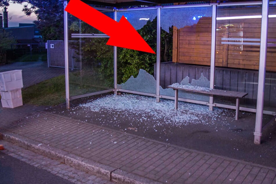 So übel richteten die Vandalen insgesamt sieben Haltestellen zu.
