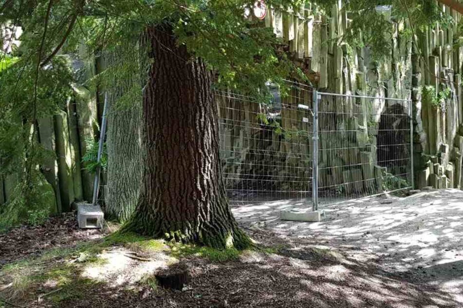 Die Durchgänge ließ die Gemeinde nach dem Steinschlag sofort sperren.